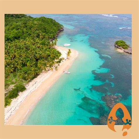 punta cana abreviatura|Descubre la Abreviatura de Punta Cana: El Paraíso Buceador en .